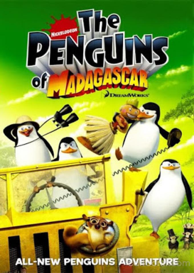 Madagaskar Penguenleri